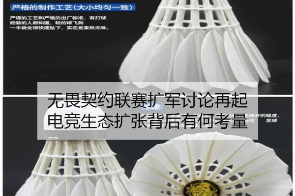 无畏契约联赛扩军讨论再起 电竞生态扩张背后有何考量